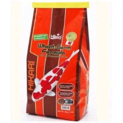 HIKARI WHEAT-GERM MEDIUM 10KG HIKARI WHEAT-GERM MEDIUM 10KG